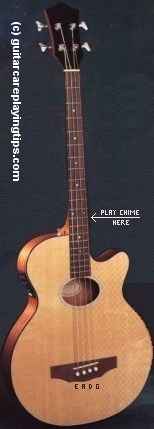 Acoustic Bass Guitar Diagram