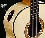 Acoustic Guitar Soundport